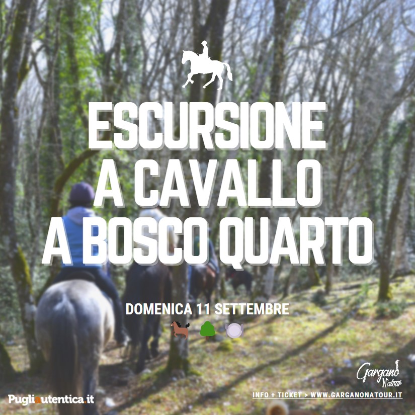 Bosco Quarto, Garganonatour: escursione a cavallo