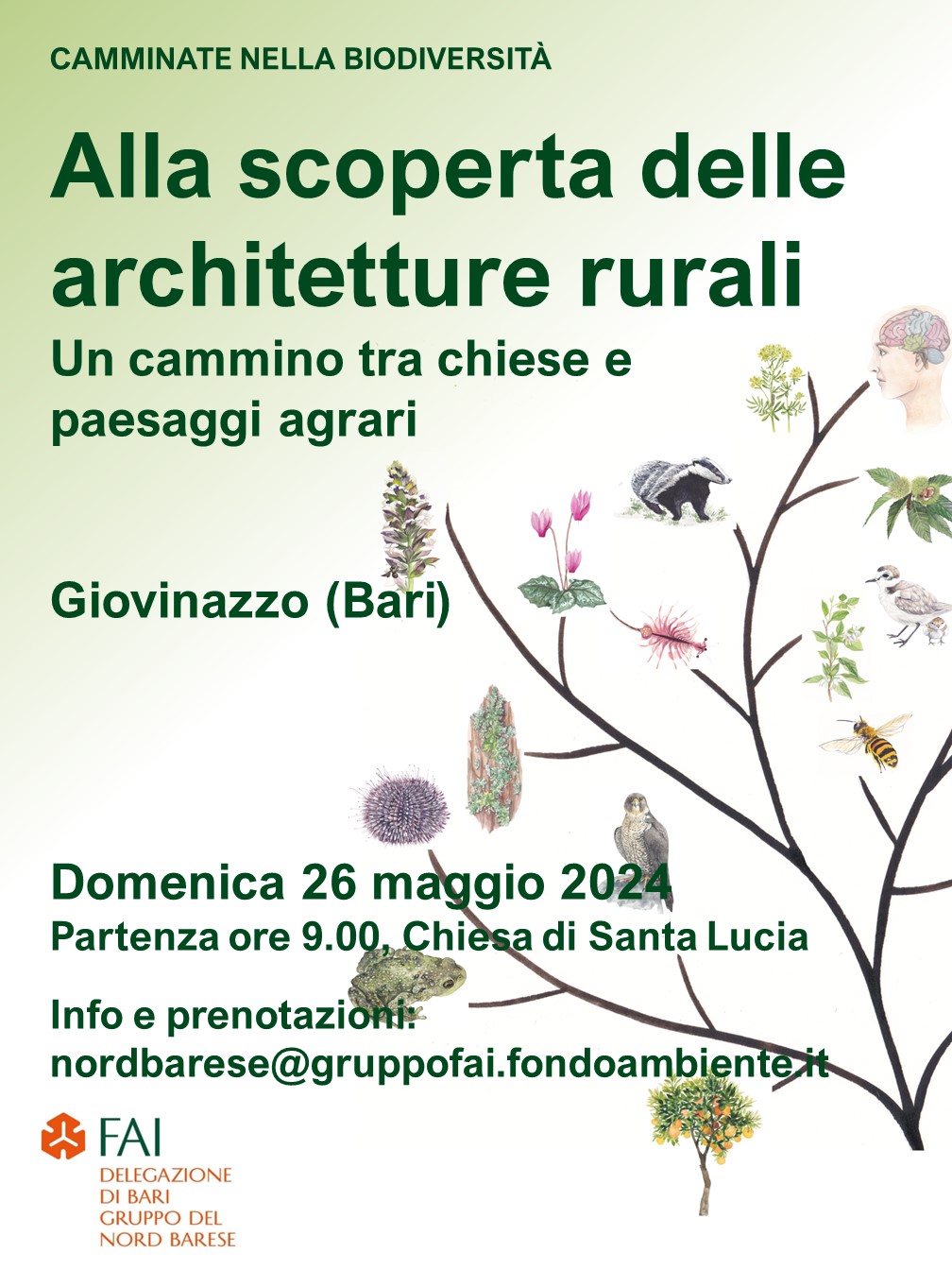Giovinazzo, Camminate FAI nella Biodiversità in Puglia